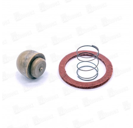 Servo Non Return Valve Kit Clayton Dewandre Series 2A 6 Cylinder Models.