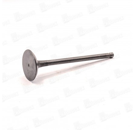 Exhaust Valve 5.0L Ohc