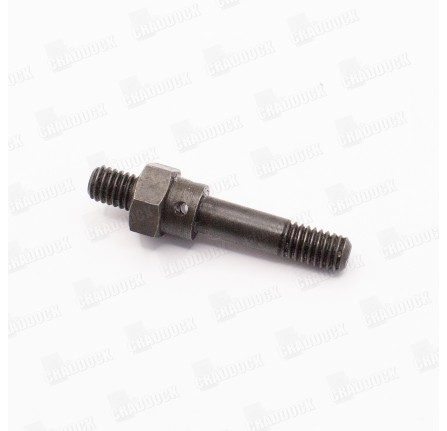 Special Screw for Earth on Fuel Pump