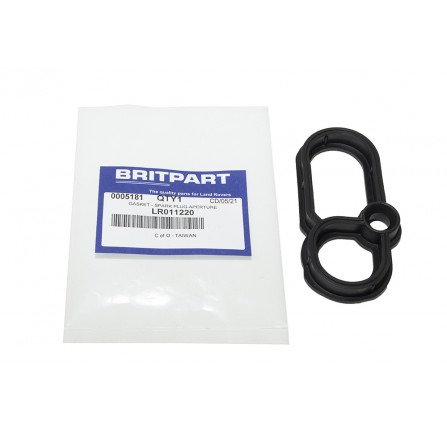Spark Plug Gasket