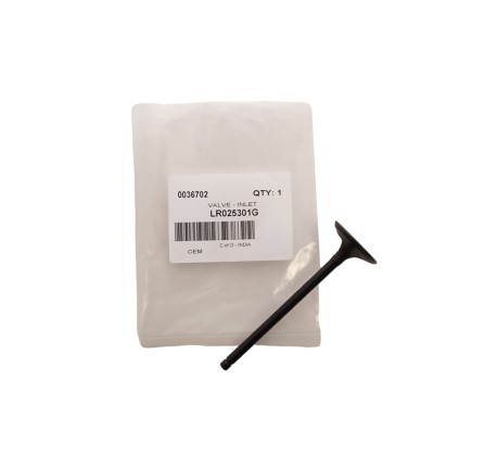 OEM Intake Inlet Valve