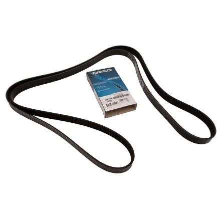 5.0L Sgdi V8 Petrol Dayco Primary Belt