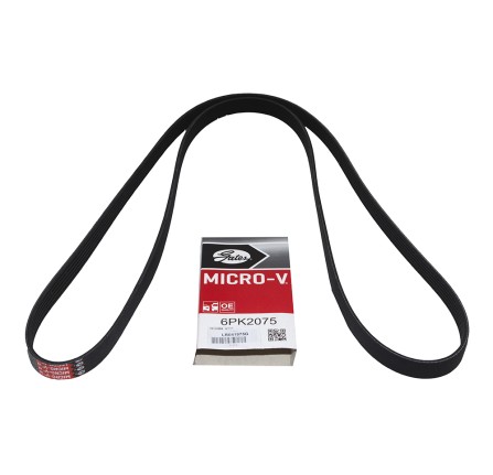 3.0L 24 V Gates Drive Belt with Ace