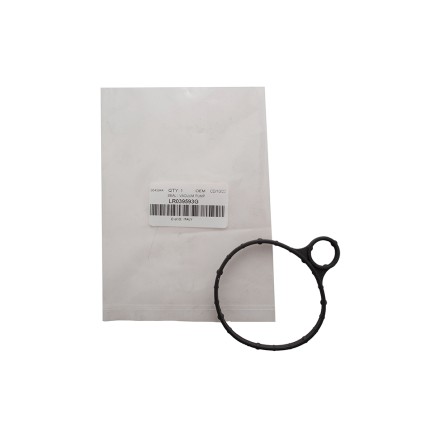 OEM Vacuum Pump Seal