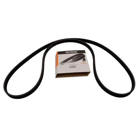 OEM 2.0L 16V Petrol Drive Belt