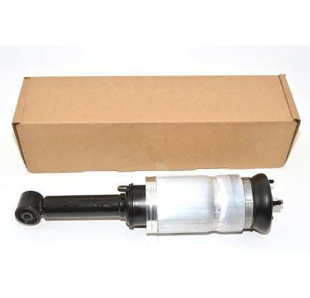 OEM Front Shock Absorber from Chassis CA604587
