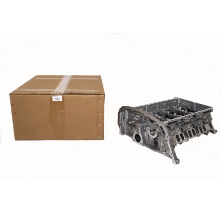 OEM 2.2 Puma Cylinder Head with Valves