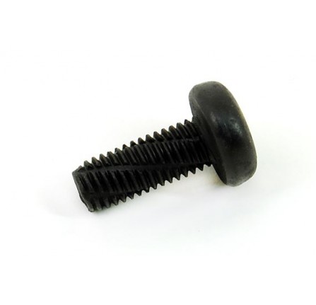 Genuine Screw M10 x 25mm Torq Drive Roll Bar