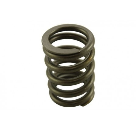 Genuine Original Double Valve Springs for 2.25 Petrol Or Diesel