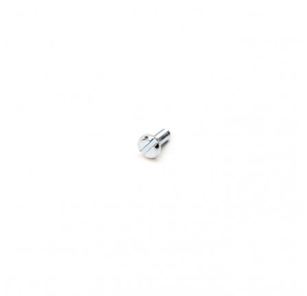 Screw