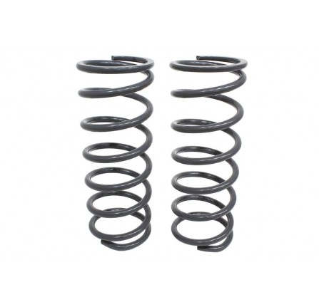 Terrafirma D2 Front Springs Standard Height Standard Load