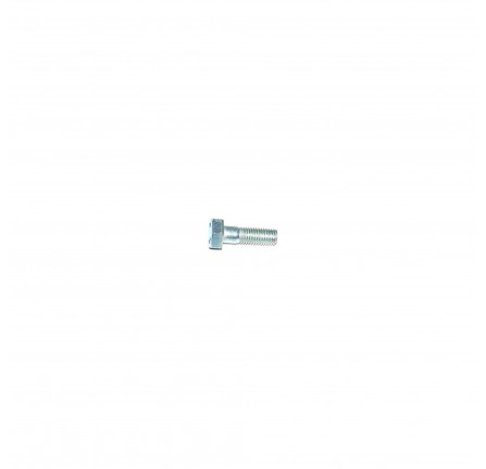 Fitted Bolt 5/16 Inch x 1 Inch Bsf.