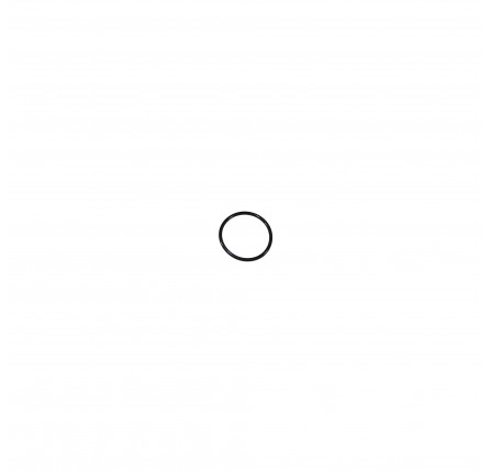 O Ring for Swivel Pin 1964-84