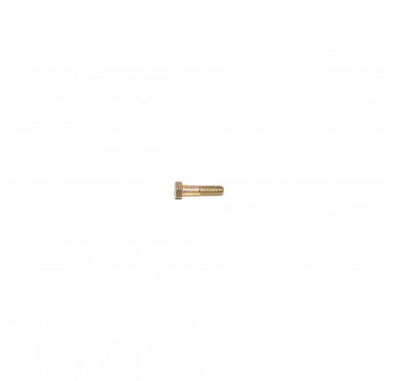 Genuine Lock Stop Bolt 1968-84