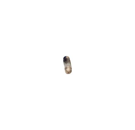 Bulb for Interior Light 1994 on