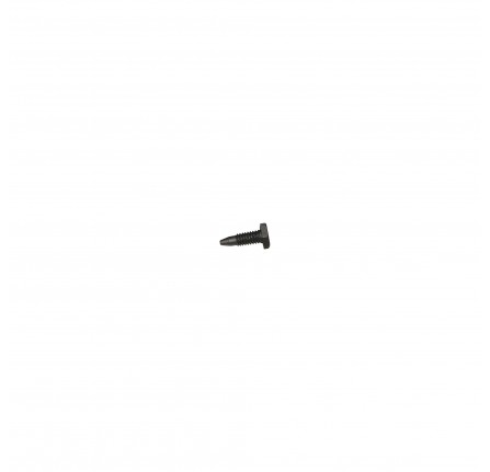 Screw for Servo Throttle Body Diesel.