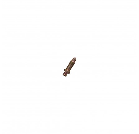 Bleed Screw 110 Rear Brake Cylinder.