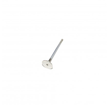 Exhaust Valve 4.4/4.2 V8 Petrol