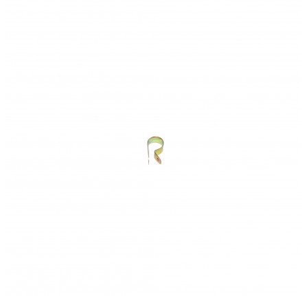 Pipe Clip