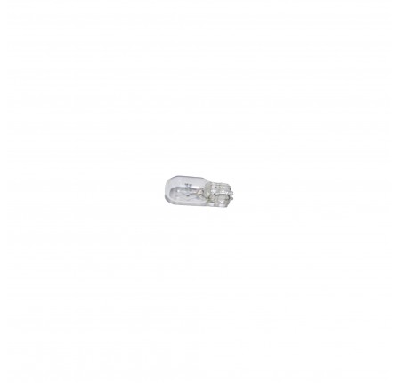 Bulb 2.2 Watt 24VOLT