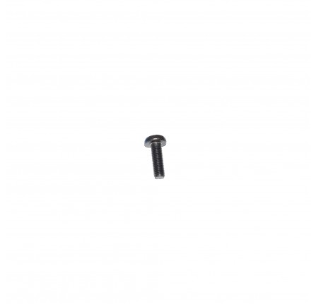 Screw M8 x 25 Torx