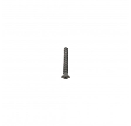 Torx Bolt M8 x 55mm Door Hinge to Door from 1A611582