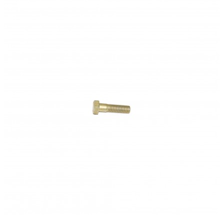 Bolt M12 x 45mm for Camshaft Hub 300TDI