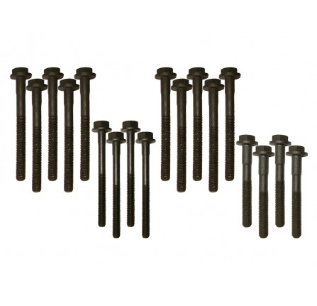 Head Bolt Kit 200 TDI