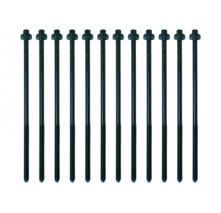 TD5 Head Bolt Set