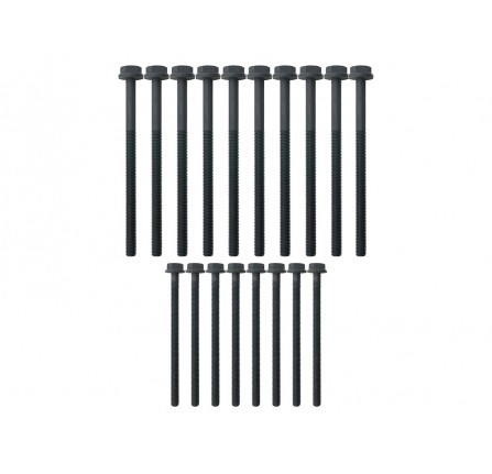 Head Bolt Set Puma 2.4