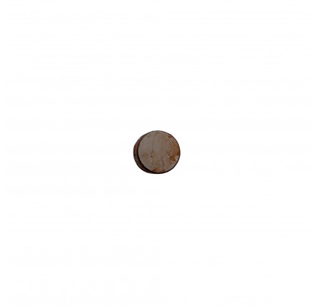 Roller for Tappet All 4 Cylinder 1985 on Genuine