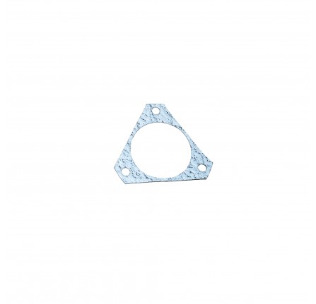 Gasket Injection Pump 300TDI
