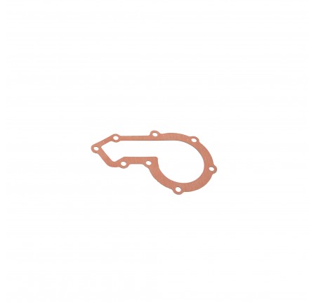Elring Water Pump Gasket 300 TDI
