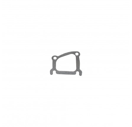 Gasket Thermostat Housing 300TDI
