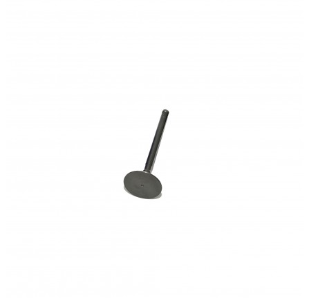 Inlet Valve 2.25 Diesel and 2 Litre Diesel