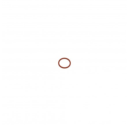 OEM O Ring Injector TD5