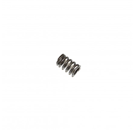 OEM Valve Spring Single Type V8. Engines