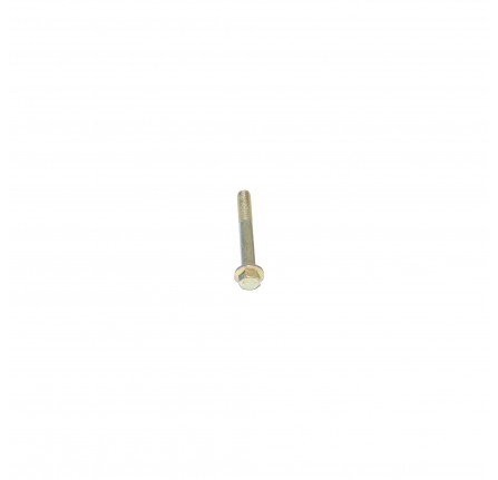 Bolt Flanged Head M10 x 75mm