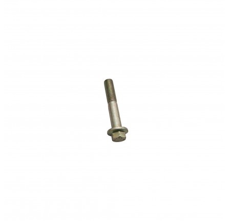 Bolt M12 x 70