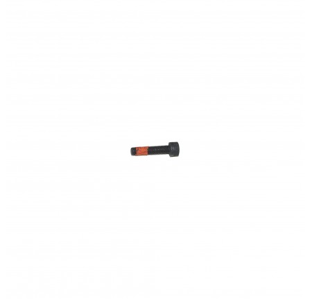 Screw Turbo Manifold Screw