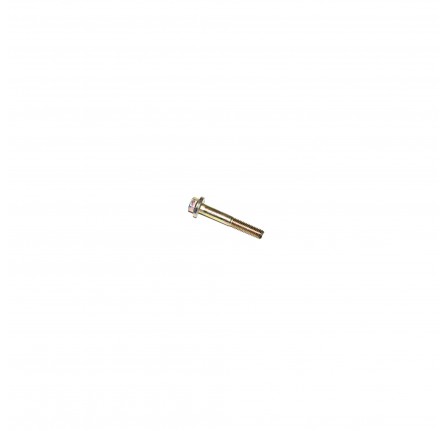 Flange Bolt M6 x 40mm V.A