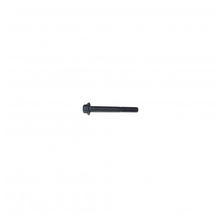 Flange Head Bolt M6 x 55 for Engine Breather 300TDI