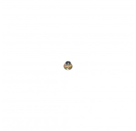 Nut Flanged M10 90/110 2007 Onwards