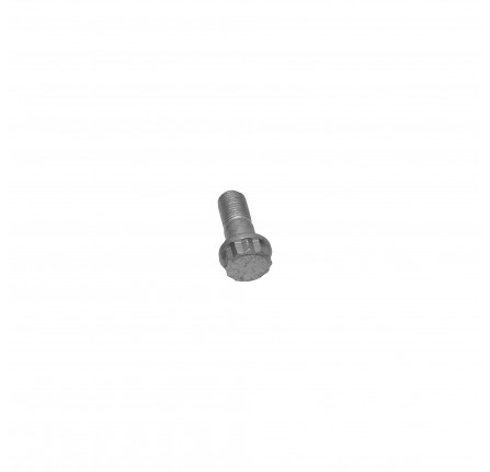 Bolt Fixing Front Caliper Discovery 2 and P38A