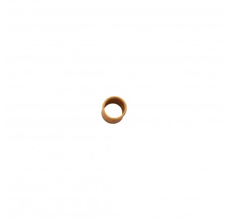 Flywheel Bush TD5