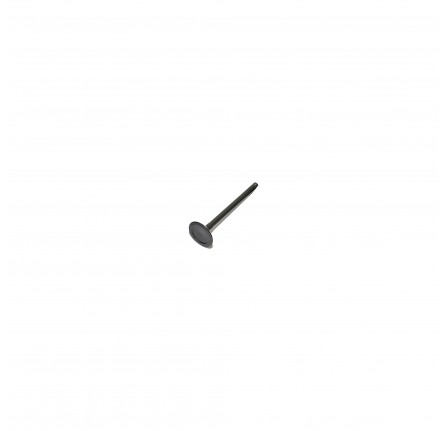 Inlet Valve 1.8 Petrol