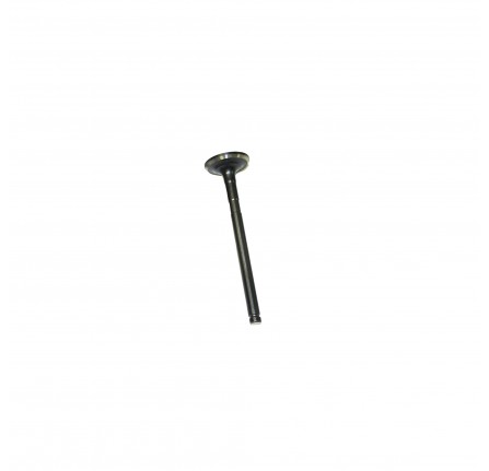 Exhaust Valve 1.8 Petrol