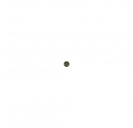 Cap-valve Stem GH2F2