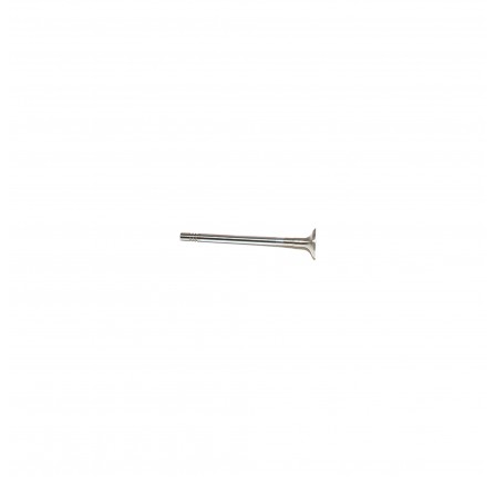 Puma 2.2/2.4 Exhaust Valve