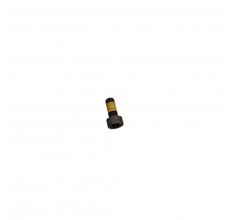 Flywheel Bolt Puma 2.4